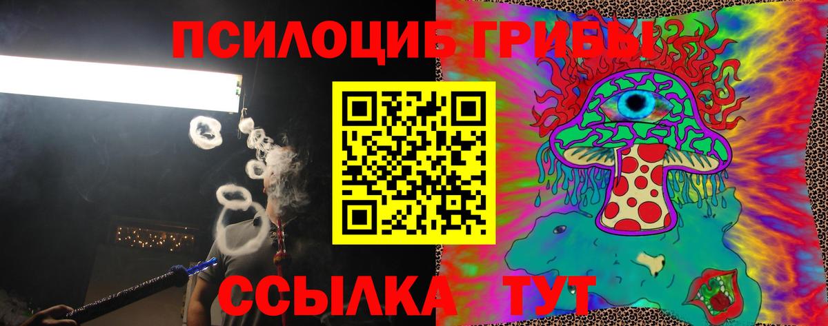 Псилоцибиновые грибы ЛСД Ленинск-Кузнецкий